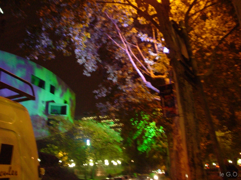 DSC00219_arbres a Lyon 