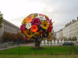 DSC00213_fleurs a Lyon 