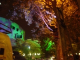 DSC00219_arbres a Lyon 