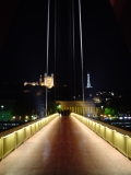 DSC00233_pont a Lyon 