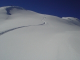 DSC02504