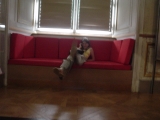 DSC02760_Lena 