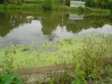 DSC03149 