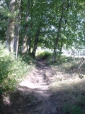 DSC03235 