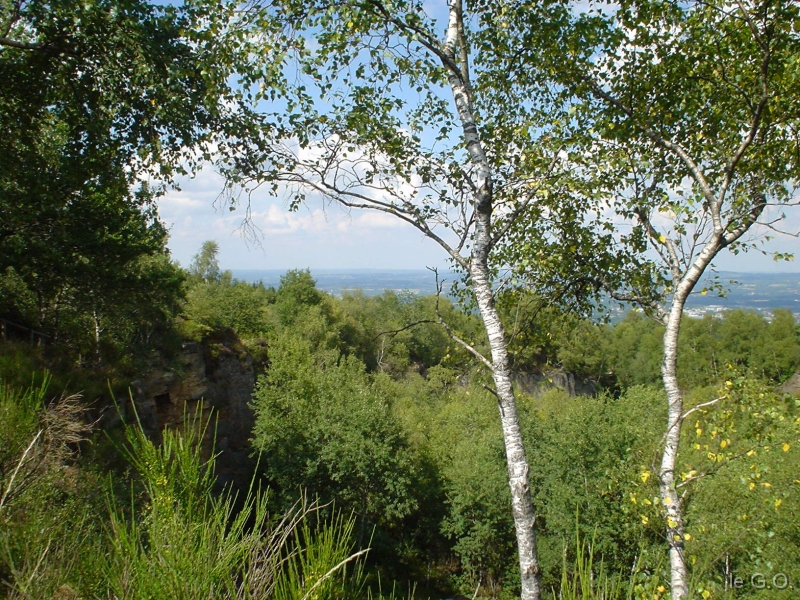 DSC03261 