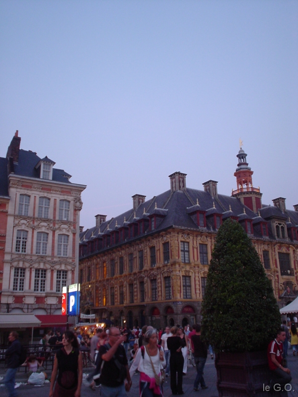 DSC03623 
