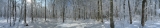 Panoramas