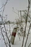 011_Vittel 