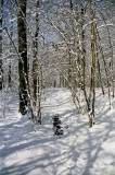 022_Vittel