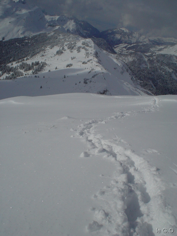 DSC05153_Avoriaz De la pointe de Chsery  2249m aprs 45 minutes de marche...