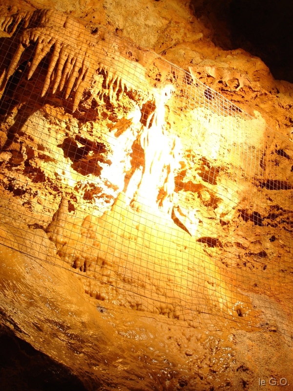 DSC00313 