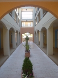 DSC05779
